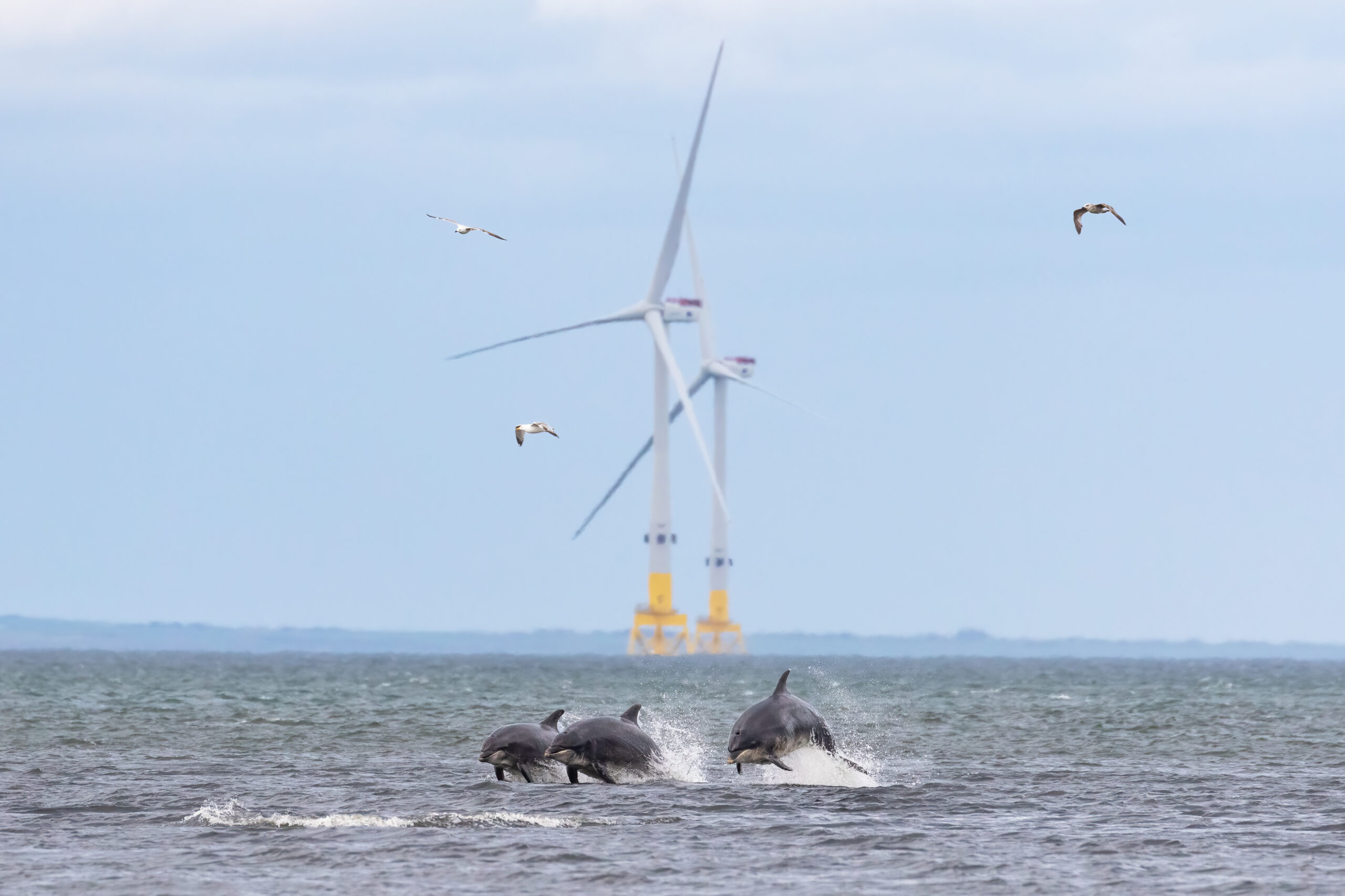 AREG NEWS: Aberdeen Renewable Energy Group has announced the winner of its ‘Art of Renewable Energy’ photography competition.