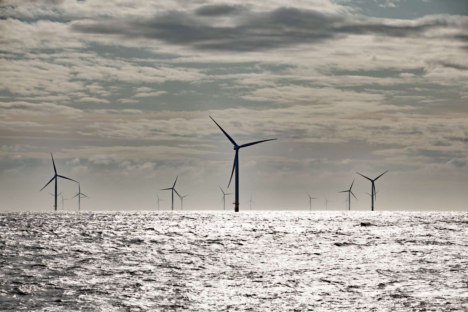 MEMBER NEWS: Ørsted, Falck Renewables, BlueFloat Energy consortium team up with Scottish Association for Marine Science to investigate environmental effects of floating wind