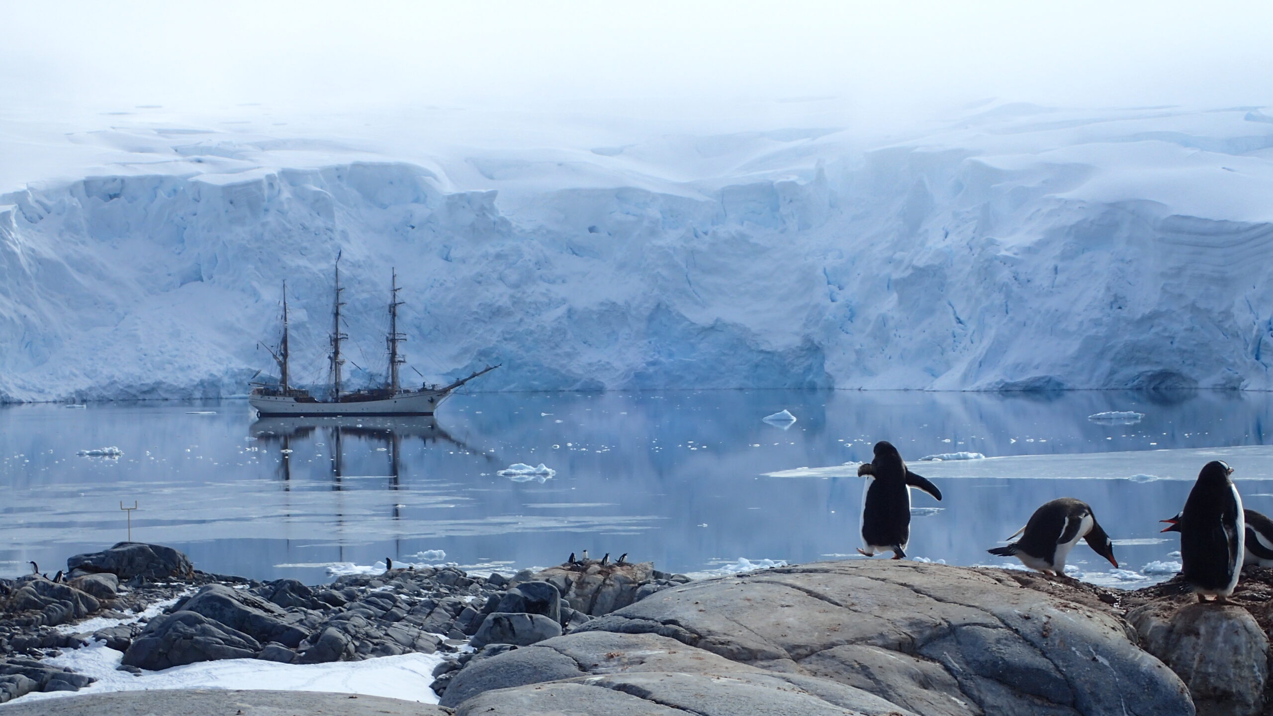 MEMBER NEWS: RMI successfully supports UK Antarctic Heritage Trust’s latest Port Lockroy expedition – home to the world’s southernmost post office and museum